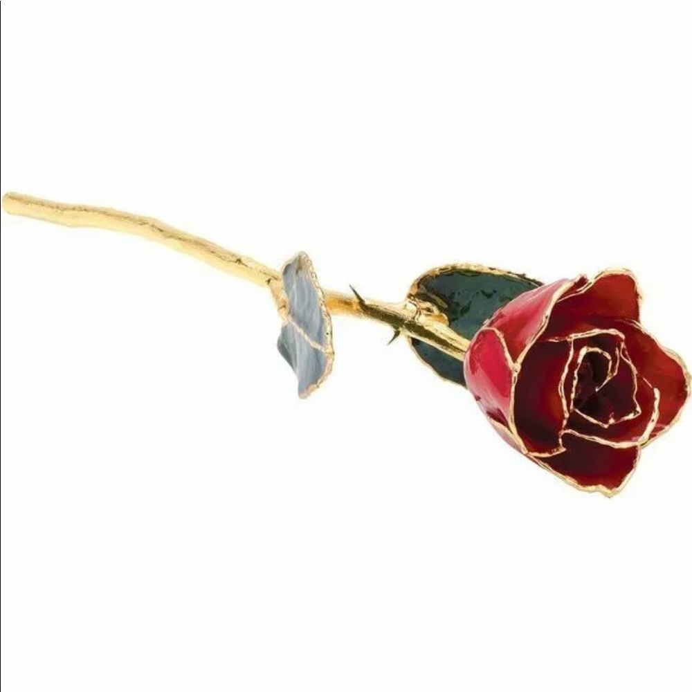 Red Gold Trimmed REAL Lacquered Rose - Picture 1 of 3
